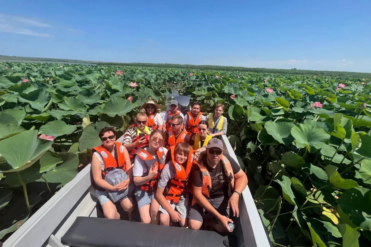 Лотосы 